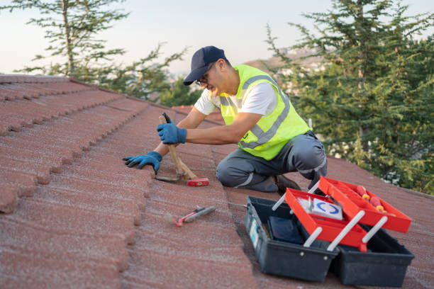 Best Roof Maintenance Services  in Carnegie, OK